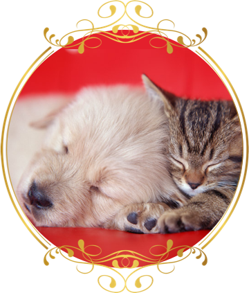 亡くなったらまず