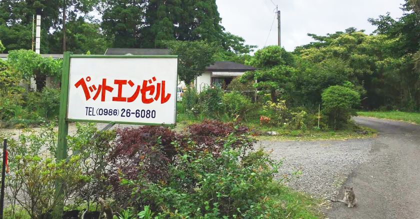 ペットエンゼル風景